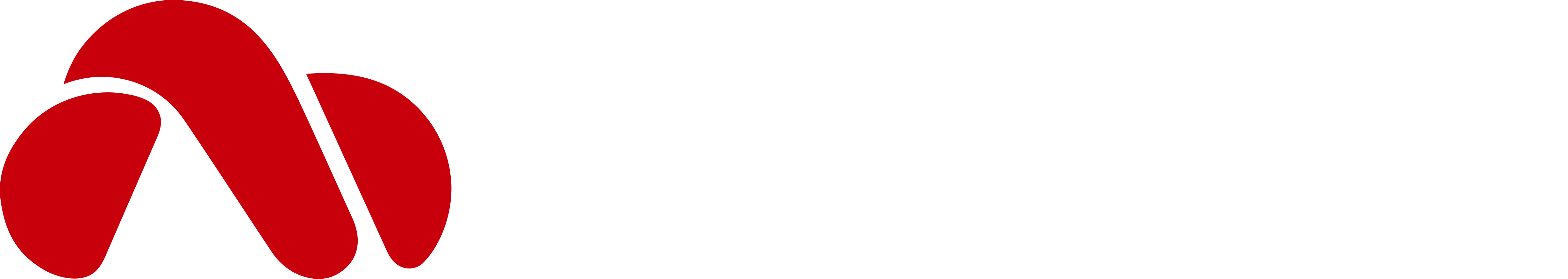 Holos certifica nuestros cursos